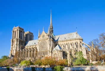 Fototapeta na wymiar Katedra Notre Dame, Paryż, Francja