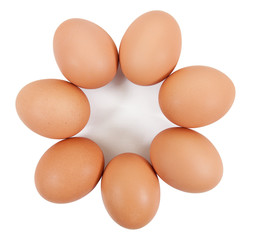 eggs