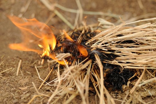 Fuoco