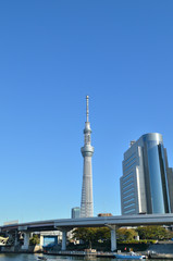 Fototapeta na wymiar Tokyo Sky Tree Sumida Ward Urzędu