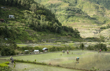 Fototapeta na wymiar Mountain Village Banaue Luzon Filipiny