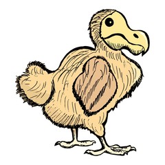 hand drawn illustration of the dront, extinct bird © Perysty