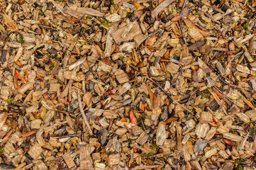 Colorful wood chips