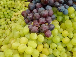 Blue and white grapes in a box at the greengrocer