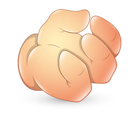 Cartoon Hand Gesture - Vector Illustration