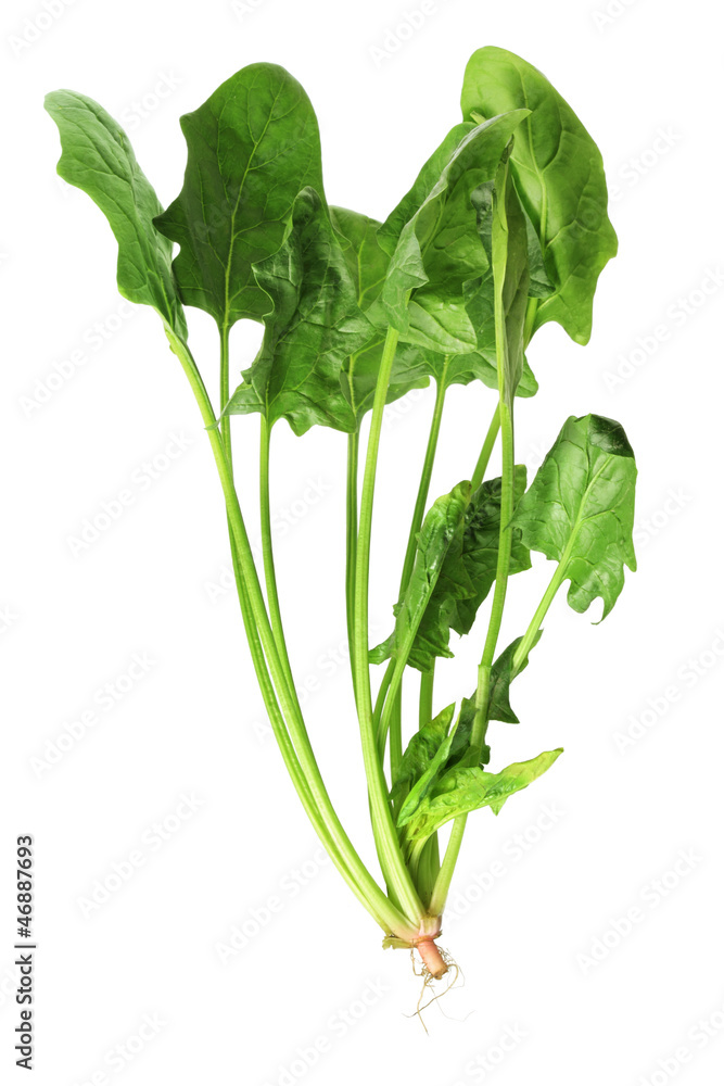 Poster spinach