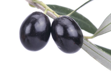 olive