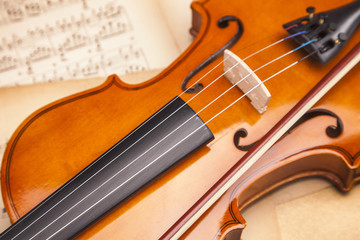 Beautiful roses and violin!