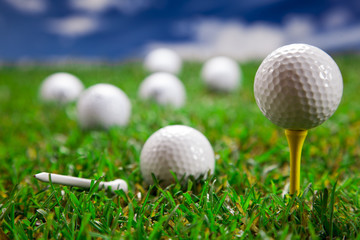 Let's play a round of golf!