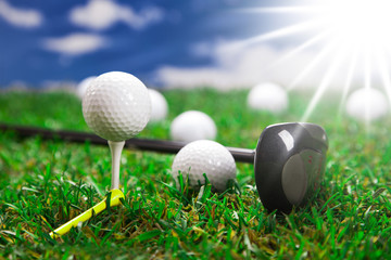 Let's play a round of golf!