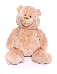 Teddy bear