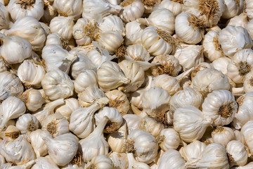 Garlic at outdoor market