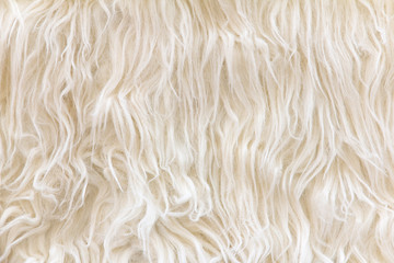 close up of sheepskin texture background