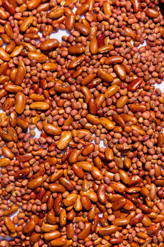 kidney bean background