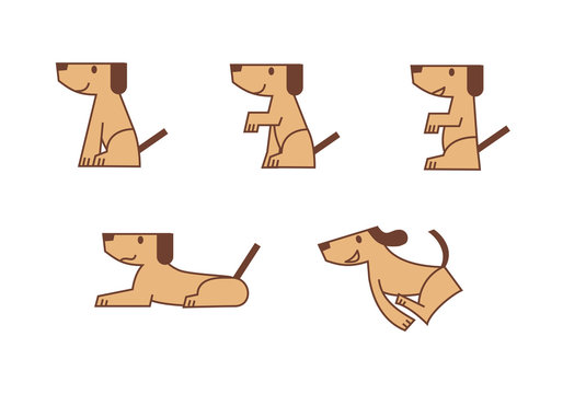 犬の訓練