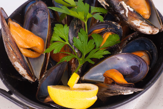 Fresh mussels