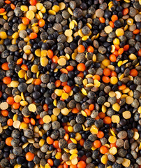 Set of different varieties of lentils
