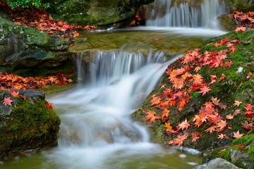 Fototapeta na wymiar Creek jesienią