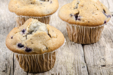 hausgemachter Blaubeer cup cake auf einem Holzbrett