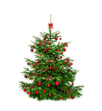 weihnachtsbaum