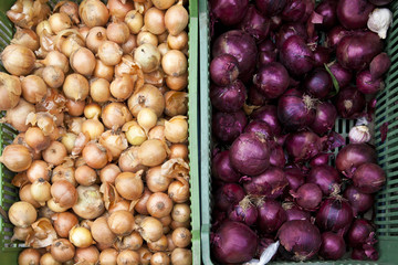Red and white onions in basket on market