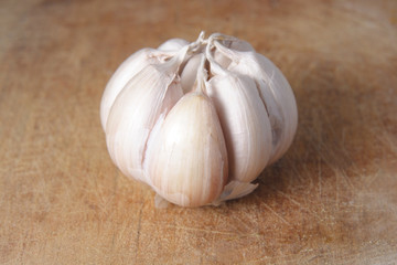 garlic