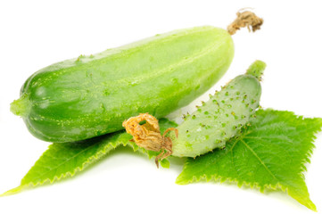 Cucumbers with Green Leaves Isolated on White Background