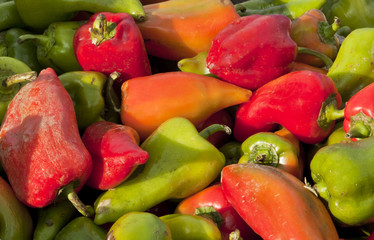 Various peppers paprika for sale on farmers market