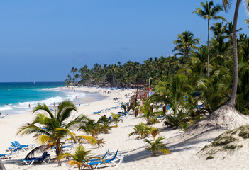 Caribbean sea beach, Dominican Republic - 46905619
