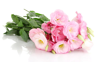 bouquet of eustoma flowers, isolated on white