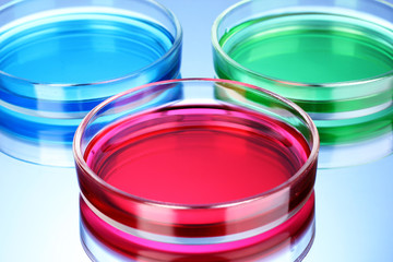 color liquid in petri dishes on blue background