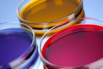 color liquid in petri dishes on blue background