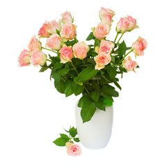 bouquet of pink roses   in vase isolated on white background