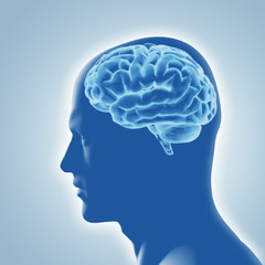 Menschliches Gehirn - Röntgenbild