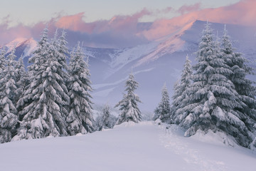 Beautiful winter landscape in the mountains. Sunrise
