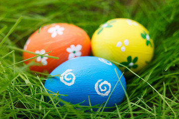 Easter eggs on a grass