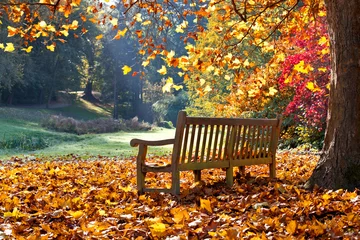 Gardinen Bank im Herbstpark. © ARTENS