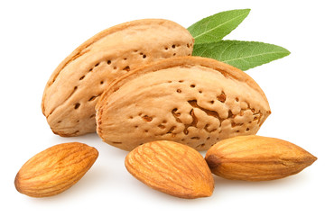 almond group