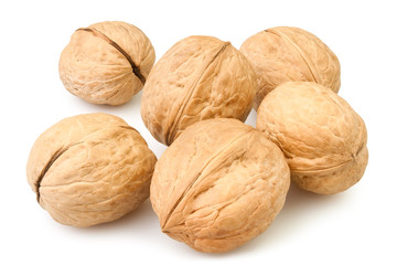 walnut group
