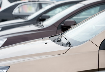 Naklejka premium row of cars
