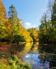 Panorama of forest lake in autumn.