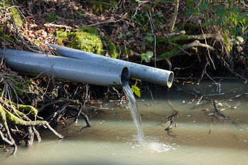 Water Outflow in Woodland