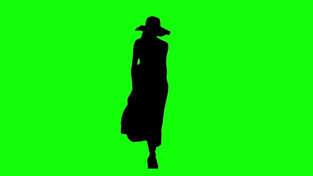 Catwalk Model Silhouette