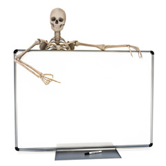 Skeleton pointing at a clear white board room for text