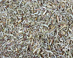 Rosemary dried macro