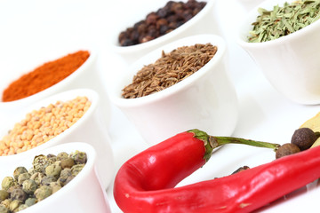 Selection of spices on white bowls