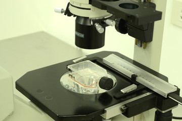 microsccope