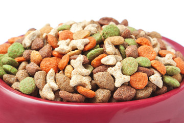 Dish cat dog food. Closeup.