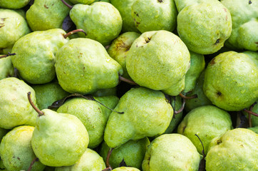 Freshly harvested pears on display