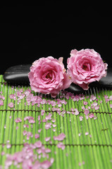 Two rose and zen stones on green mat